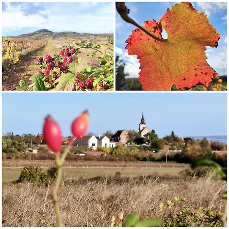 Zankapu -hotel For You- Adult & Bike Friendly 3-room With Local Wine, Terrace & Kali-medence Experience Zánka