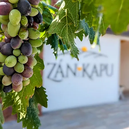 Zankapu - For (adults Only) *