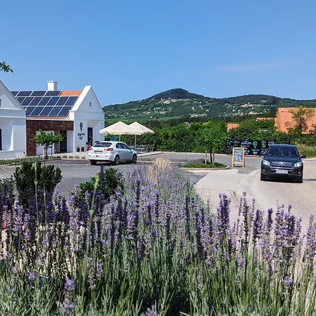 Zankapu -hotel For You- Adult & Bike Friendly 3-room With Local Wine, Terrace & Kali-medence Experience Zánka