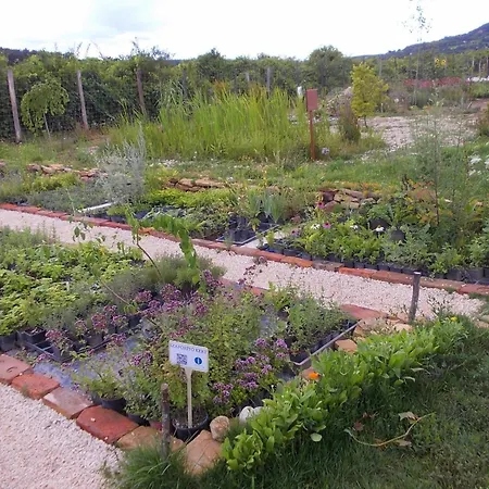 Motel Zankapu -hotel For You- Adult & Bike Friendly 3-room With Local Wine, Terrace & Kali-medence Experience Zánka