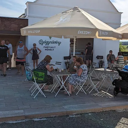 Motel Zankapu -hotel For You- Adult & Bike Friendly 3-room With Local Wine, Terrace & Kali-medence Experience *