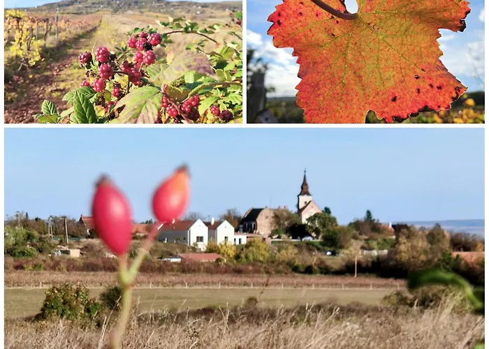 Zankapu -hotel For You- Adult & Bike Friendly 3-room With Local Wine, Terrace & Kali-medence Experience Zánka