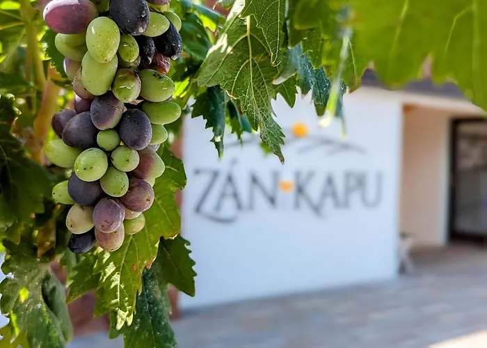 Zánkapu -hotel For You- Adult&bike Friendly 3-room With Local Wine, Terrace&káli-medence Experience *