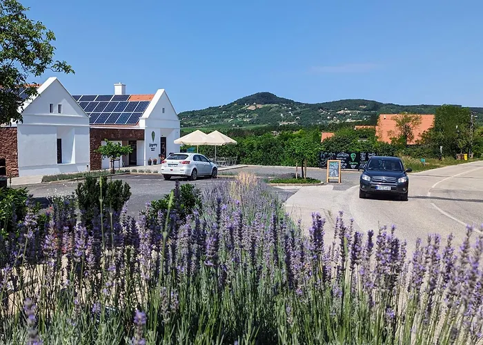 Zankapu -hotel For You- Adult & Bike Friendly 3-room With Local Wine, Terrace & Kali-medence Experience Zánka