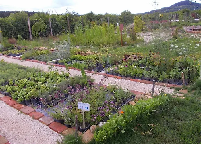 モーテル Zankapu -hotel For You- Adult & Bike Friendly 3-room With Local Wine, Terrace & Kali-medence Experience Zánka