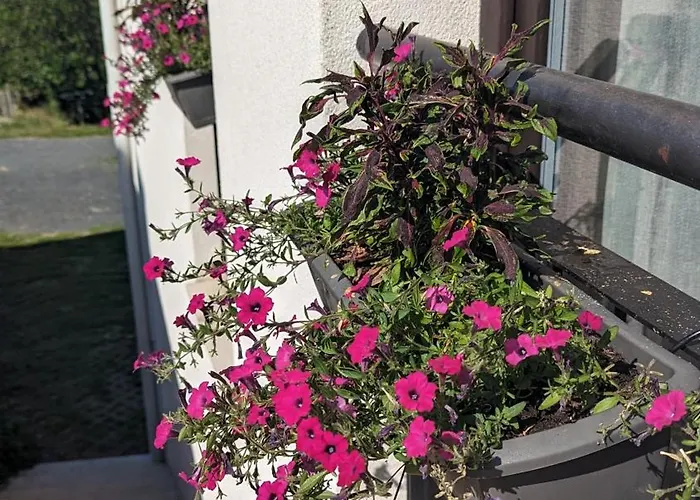 Zánkapu -hotel For You- Adult&bike Friendly 3-room With Local Wine, Terrace&káli-medence Experience Motel *