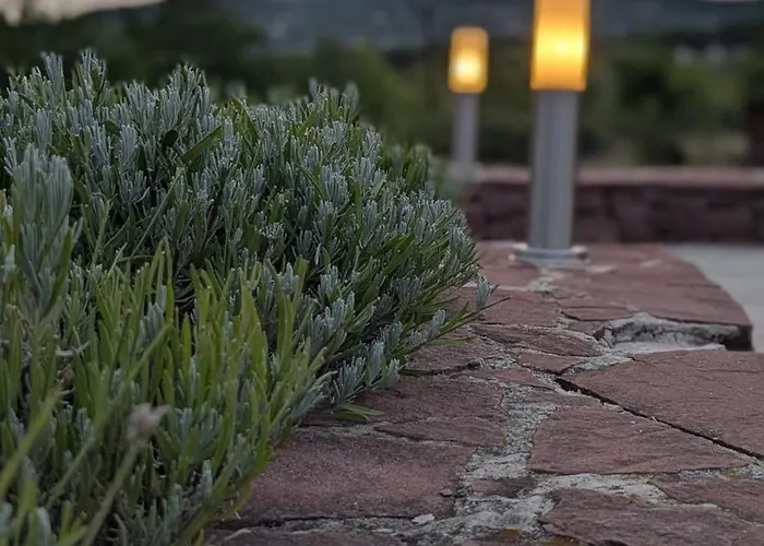 Zánkapu -hotel For You- Adult&bike Friendly 3-room With Local Wine, Terrace&káli-medence Experience Zánka