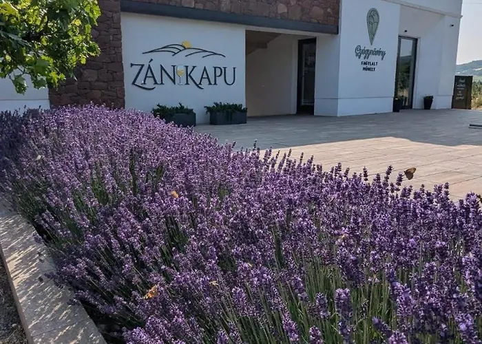 Zánkapu -hotel For You- Adult&bike Friendly 3-room With Local Wine, Terrace&káli-medence Experience * Zánka