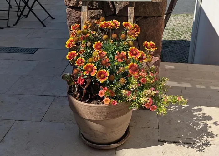 Zánkapu -hotel For You- Adult&bike Friendly 3-room With Local Wine, Terrace&káli-medence Experience